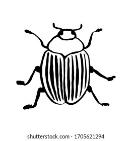 ink sketch vector beetle, hand drawing silhouette 