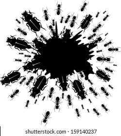 Ink splash and insects