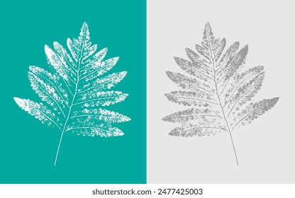 Ink stamp impression of a fern leaf or plant with organic texture. Isolated leaf print for floral art or pattern.