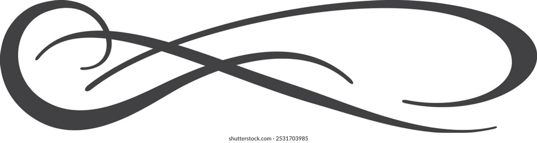 Ink stroke swirl. Decorative calligraphic drawn element