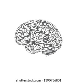 Ink Style Hand drawn human brain on white background. illustration human brain eps10.