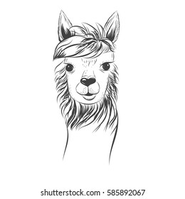 Ink stylish lama animal. Typography poster, t-shirt print, greeting card design, hand drawn style print. Vector Illustration. Peru Lama