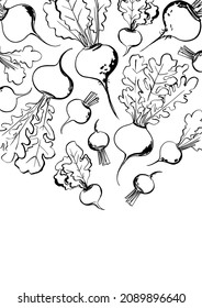 Ink vegetable poster. Farm fresh food frame.