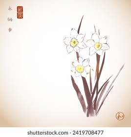 Ink wash painting of delicate sepie-toned daffodiles. Traditional oriental ink painting sumi-e, u-sin, go-hua. Hieroglyphs - eternity, freedom, happiness, harmony.