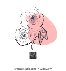Ink, watercolor flower line art background. Hand drawn nature painting. Freehand sketching vector illustration. Ink wash painting. Vintage design for print, poster, greeting card, postcard.