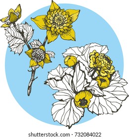 Ink yellow flowers. Pattern with flowers. Hand drawing flowers for your design. Background with flowers. Vector illustration.