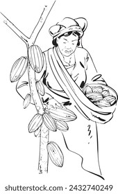 Inking illustration, Chocolate Tree, Chocolate Fruit, Nature Chocolate, Outline, Sketch of Chocolate Fruit. 