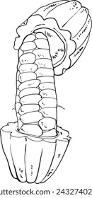 Inking illustration, split chocolate fruit, chocolate fruit filling, ouline, chocolate fruit sketch. 