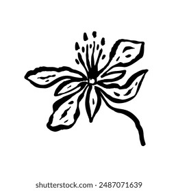 Inky abstract flower sketch isolated on white. Black line art of minimalist doodle floral. Hand drawn botanical illustration