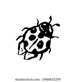 Inky black and white ladybug sketch. Monochrome hand drawn insect illustration