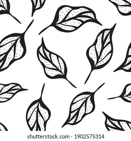 Fondo de patrón vectorial transparente de hojas blancas y negras. Ilustración de vintage botánica estilo de línea dibujada a mano de hojas cayendo. Fondo monocromo.Diseño multidireccional toscado para el embalaje