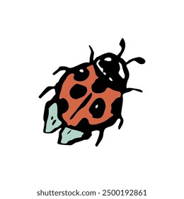 Inky red and black ladybug sketch. Hand drawn insect illustration