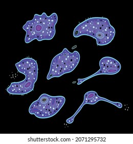 Innate Immune System: Macrophages Cells, Vector Illustration