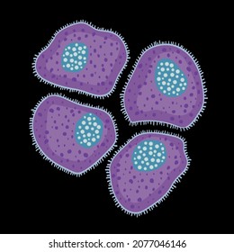 Innate Immune System: Mast Cells, Vector Illustration