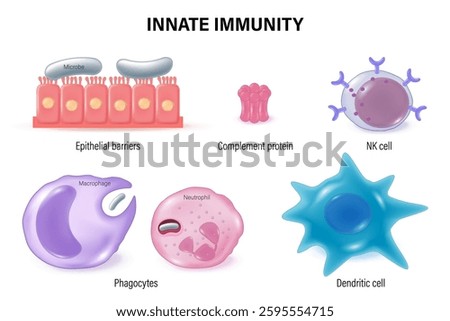 Innate immunity. The Immune System. Immune response. Epithelial, Complement protein, NK cell Macrophage and Dendritic cell.