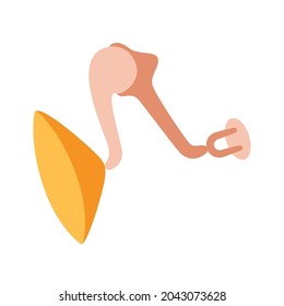 Inner ear anatomy concept. Tympanic membrane, malleus, incus and stapes anatomical poster. Medical banner for clinic or education flat vector illustration