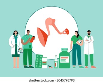 Inner ear anatomy concept. Tympanic membrane, malleus, incus and stapes anatomical poster. Ent medical center, otolaryngology clinic. Hearing loss problems. Deafness treatment flat vector illustration