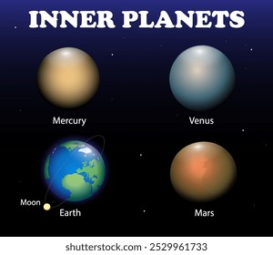 Inner planets of the solar system. Science education vector illustration