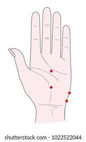 The inner side of the woman's left hand with dots for acupuncture massage. Vector. Isolated on white background