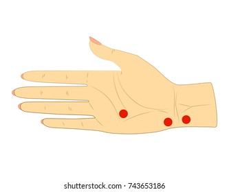 The inner side of the woman's right hand with dots for acupuncture massage. Vector. Isolated on white background