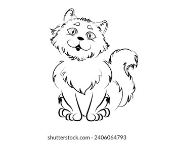 Innocent cute little furry cat 