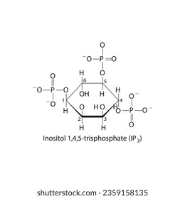 Inositol trisphosphate (IP3) endogenous second messenger in cell signaling, playing a role in the release of calcium ions from intracellular stores Molecular structure skeletal formula.