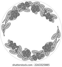 Inscribed in a circle tricolor vector frame of lingonberry bushes with bunches of berries with empty space in the center for text