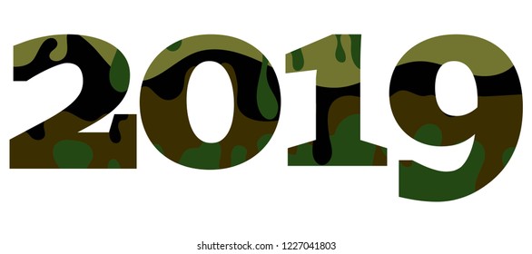 Inscription 2019 in camouflage style. Vector color illustration