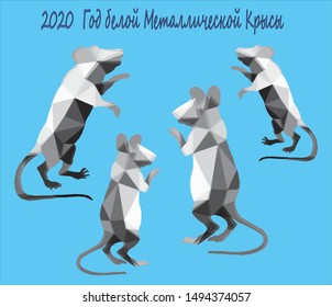 inscription " 2020 Уear White Metal Rat" . a polygon vector isolated hand drawn picture of rats mice. Four white, silver, rats, mice stand on their hind legs on a blue background. 
