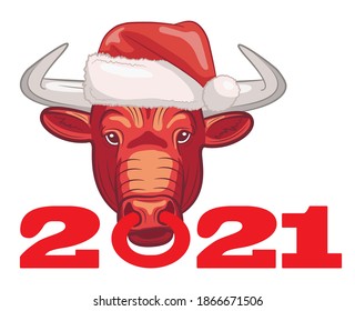 Inscription 2021. Year of the bull. A bull with a nose ring wearing a Santa Claus hat. Great lettering for greeting cards, stickers, banners, prints. Christmas card. Isolated on white vector cartoon