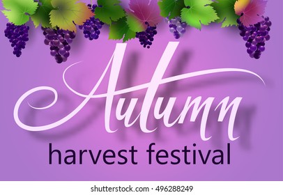 the inscription autumn harvest festival against the background of vines and grapes