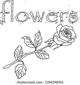 the inscription flowers, and one rose