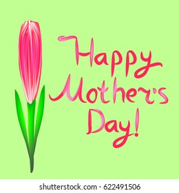 The inscription of Happy Mother's Day. Lettering. Pink tulip. May 14. Vector illustration.