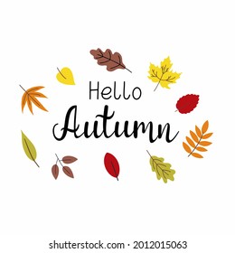 Inscription Hello, autumn by hand. Cute autumn lettering. Golden and red leaves.