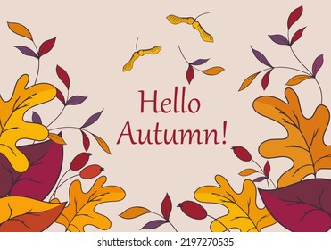 inscription hello autumn maple seeds oak leaves rose hips and other herbs and leaves