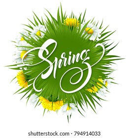 Inscription Hello Spring on background with spring flowers. Vector illustration EPS10