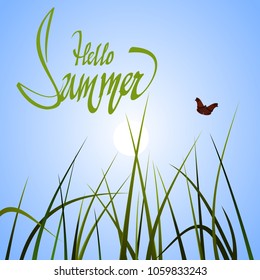 the inscription hello summer grass stalks and a butterfly against the blue sky