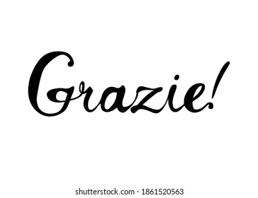 Inscription in Italian: Thank You - grazie. Vector calligraphic word