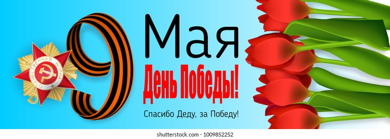 inscription May 9 Victory Day Thank you grandpa for victory. Order Patriotic great war. Winner Great war. Vector realistic tulips illustration. Saint George striped ribbon. Greeting card veteran.