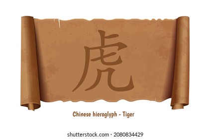 Inscription on Chinese - Tiger. Chinese hieroglyph - Tiger is depicted on an old scroll. Vector illustration