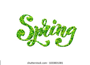 The inscription Spring. Modern brush calligraphy. Hand drawn design elements. Logos and emblems for invitation, greeting card, t-shirt, prints and posters. Vector illustration.