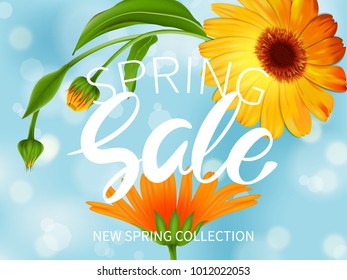 Inscription Spring Sale in background composition of blooming flowers of calendula.Vector illustration