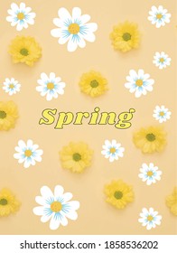 Inscription Spring Time on background with spring flowers