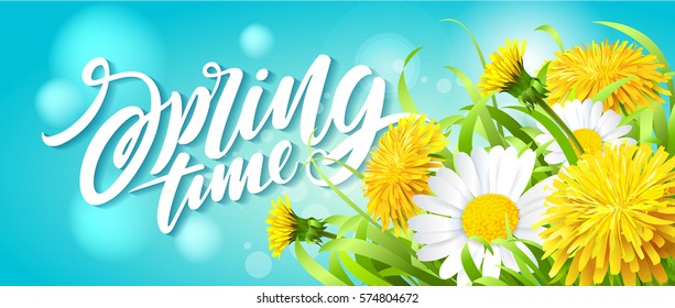 Inscription Spring Time on fresh spring background with grass, dandelions and daisies. Vector illustration 