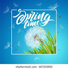 Inscription Spring Time. Vector dandelions with flying seeds on cloudy sky