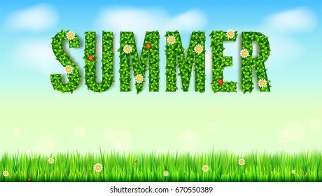 The inscription of summer green leaves of spring and summer flowers, ladybugs. Blooming summer text on green background of lawn, grass and blue sky with clouds. Ready template for your ad, Eco-card.