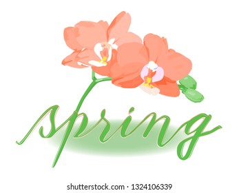 The inscription of the word spring with a sprig of blooming orchids. Spring, orchid peduncle with flowers and buds. Spring composition with flowers in green shades.