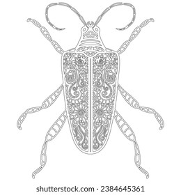 Insect 16, hand drawn, beetle isolated on white background. Colouring page-295.