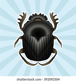 Insect anatomy. Sticker Geotrupidae dor-beetle . Sketch of dor-beetle. dor-beetle. dor-beetle scarab hand-drawn scarab, dor-beetle. Vector illustration svg