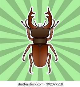 Insect anatomy. Sticker stag-beetle. Lucanus cervus. Sketch of stag-beetle. stag-beetle Design for coloring book. hand-drawn stag-beetle. Vector illustration